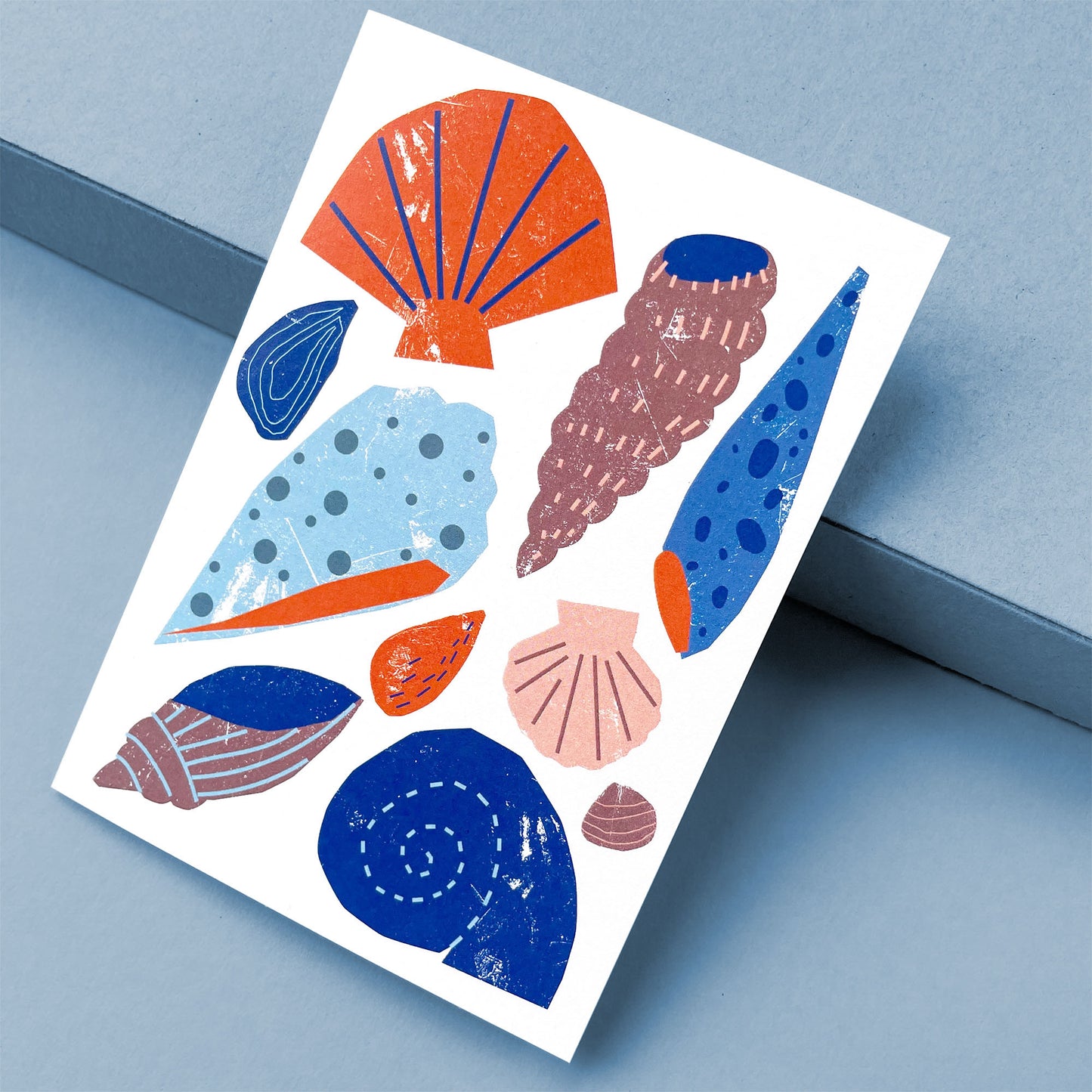 Greeting Card Shells featuring colorful seashell illustrations in orange, blue and pink on white recycled paper, Maritime inspired design
