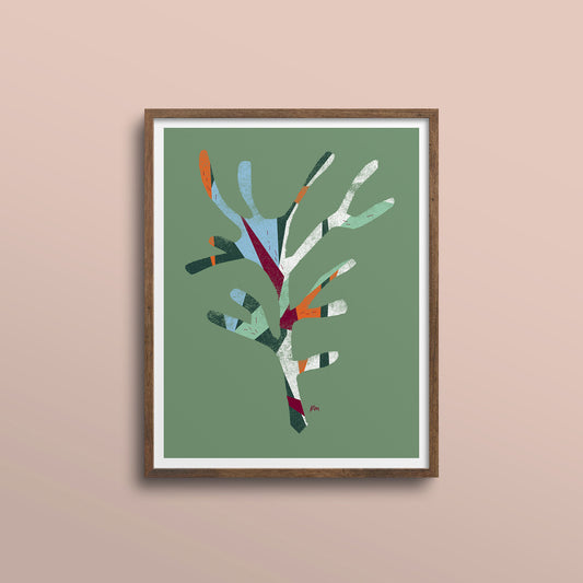 Seaweed – 11 x 14 Print